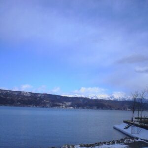 油絵 のおすすめ作品・人気作家 花　薔薇　ばら　赤　静物画　花瓶 ばら インテリア絵画 アート