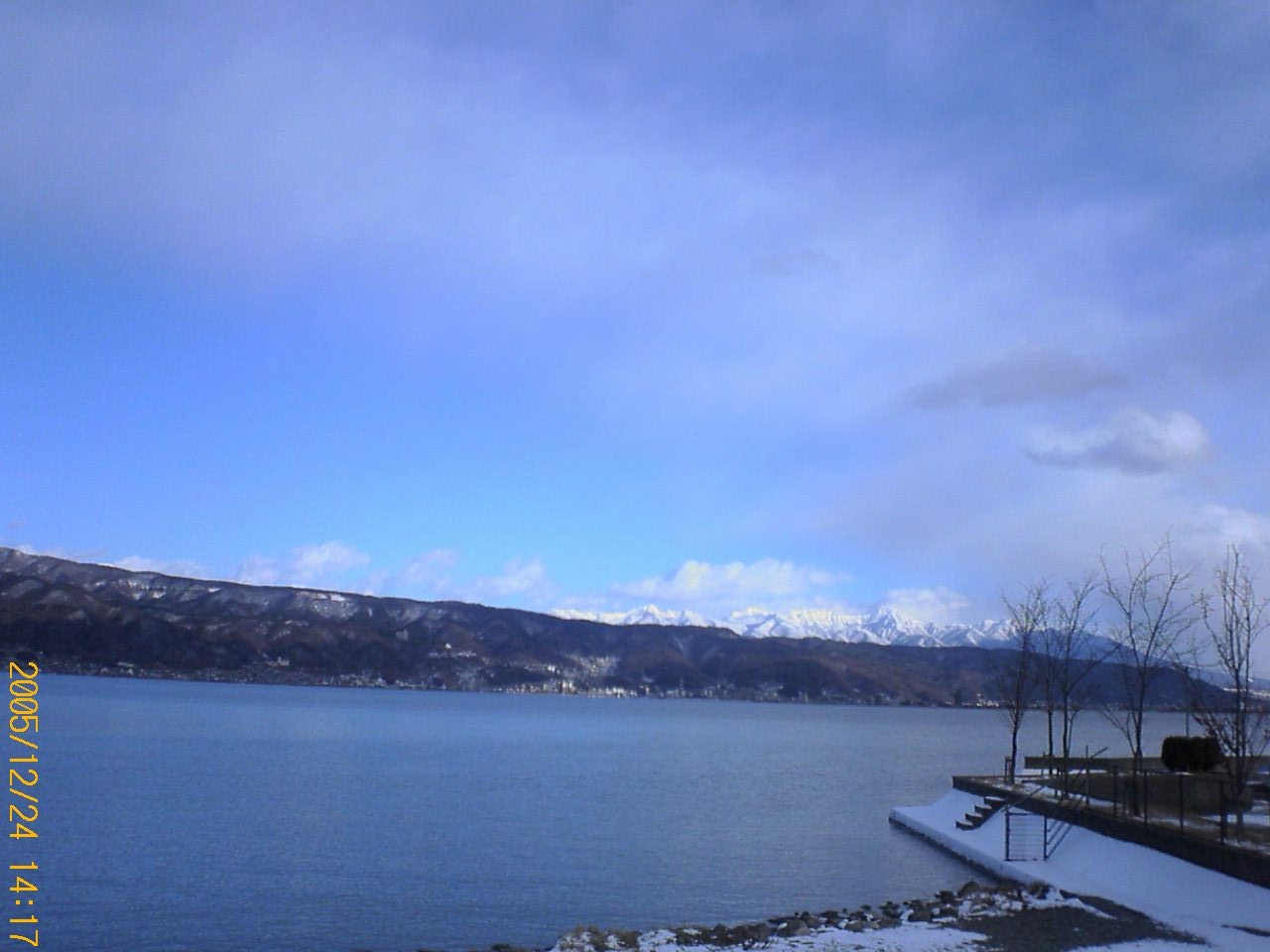 油絵 のおすすめ作品・人気作家 花　薔薇　ばら　赤　静物画　花瓶 ばら インテリア絵画 アート