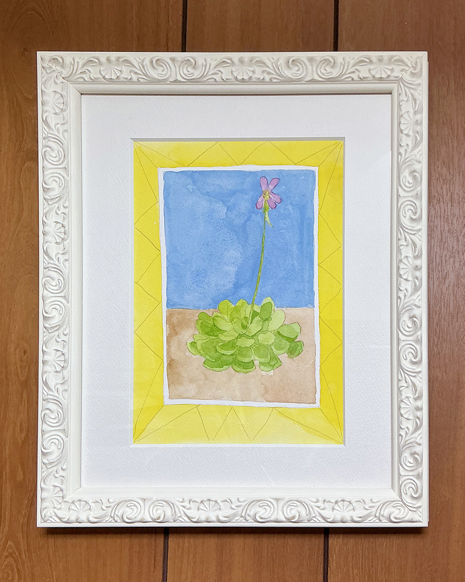 水彩画 のおすすめ作品・人気作家 Carnivorous plant ムシトリスミレ 食虫植物 食虫植物 インテリア絵画 アート