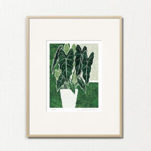 版画 のおすすめ作品・人気作家 植物 緑 fineart modernart Nature インテリアアート ファインアート モダンアート 観葉植物 静物 額付き 額装品 アロカシアグリーンベルベット（CP-009-4・半切） インテリア絵画 アート