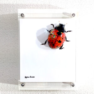 彫刻 レリーフ 立体アート のおすすめ作品・人気作家 立体 contemporary コンテンポラリーアート テントウムシ ポップアート 彫刻 昆虫 花柄テントウムシが部屋に迷い込む インテリア絵画 アート