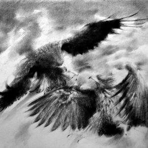 デッサン 素描 のおすすめ作品・人気作家 動物 時にそれは透明になる インテリア絵画 アート