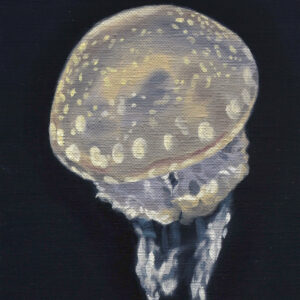 油絵 のおすすめ作品・人気作家 動物 黒 クラゲ 写実 水族館 タコクラゲ インテリア絵画 アート