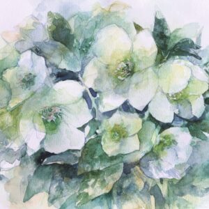 水彩画 のおすすめ作品・人気作家 クリスマスローズ，花 クリスマスローズ インテリア絵画 アート