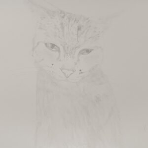 デッサン 素描 のおすすめ作品・人気作家 モノクロ 猫 インテリア 素描 Maruko Kubo インテリア絵画 アート