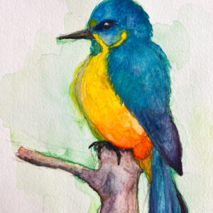 水彩画 のおすすめ作品・人気作家 動物 鳥 Yuka Art Works Yuka Mitsufuji アート販売 アート買う 光藤有佳 水彩 カワセミ インテリア絵画 アート