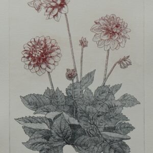 版画 のおすすめ作品・人気作家 花 昆虫 銅版画 額 Dahlia インテリア絵画 アート