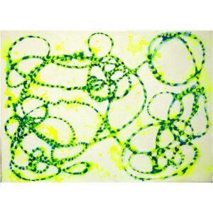 アクリル画 のおすすめ作品・人気作家 AcrylicPainting circulation emotions 循環 感情 感覚 循環体 インテリア絵画 アート