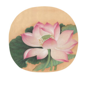 Uncategorized 花卉，宋代小品 芙蓉出水图 インテリア絵画 アート