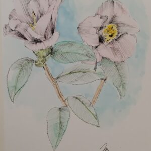 水彩画 のおすすめ作品・人気作家 自然 花 ペン画 水彩 ツバキ インテリア絵画 アート