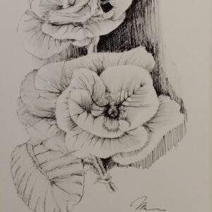 ペン画 ドローイングのおすすめ作品・人気作家 モノクロ 花 ペン画 ボタニカル 細密画 花(プリムラポリアンサ) インテリア絵画 アート