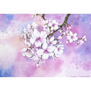 水彩画 のおすすめ作品・人気作家 水彩画 アート イラスト 原画 春 花 桜 自然 水彩 絵画 風景 風景画 さくら インテリア絵画 アート