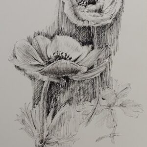 ペン画 ドローイングのおすすめ作品・人気作家 モノクロ 花 アネモネ ペン画 ボタニカル アネモネ インテリア絵画 アート