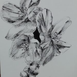 ポストカード の人気おすすめ通販 花 ペン画 桜 細密画 桜 インテリア絵画 アート