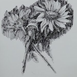 ポストカード の人気おすすめ通販 花 ヒマワリ ペン画 冬のヒマワリ インテリア絵画 アート