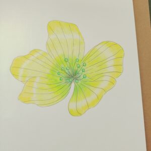 Uncategorized  note インテリア絵画 アート