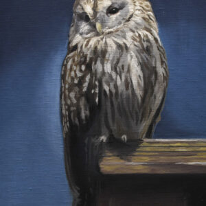油絵 のおすすめ作品・人気作家 動物 鳥 写実 茶色 青 フクロウ インテリア絵画 アート