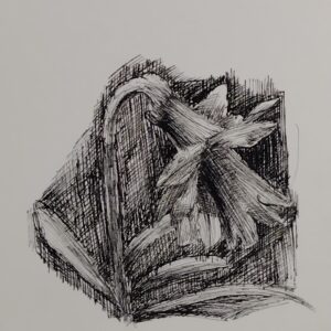 ペン画 ドローイングのおすすめ作品・人気作家 モノクロ 花 スイセン ペン画 ボタニカル スイセン【額付き】 インテリア絵画 アート