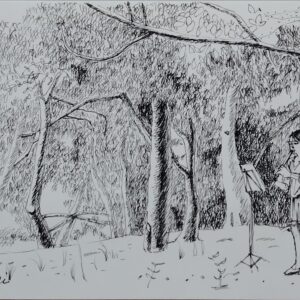 ペン画 ドローイングのおすすめ作品・人気作家 ペン画 女の子 楽器 細密 音楽 風景 音楽の森【額付き】 インテリア絵画 アート