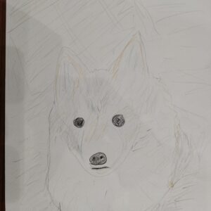 手描きイラスト のおすすめ作品・人気作家 犬イラスト ポメラニアン インテリア絵画 アート