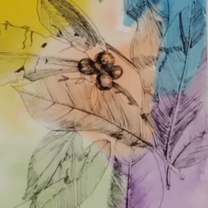 ペン画 ドローイングのおすすめ作品・人気作家 ペン画 実 水彩 葉っぱ 葉っぱと実 インテリア絵画 アート