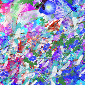 デジタルイラスト のおすすめ作品・人気作家 花 夏 トンボ 朝 女性 日本 morning glory 2 インテリア絵画 アート