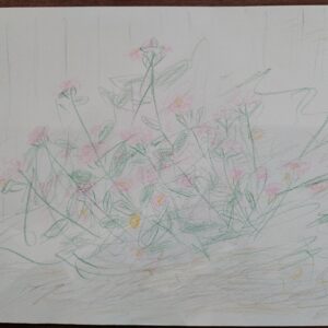 手描きイラスト のおすすめ作品・人気作家 花イラスト 花 インテリア絵画 アート