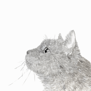 絵画 のおすすめ作品・人気作家 モノクロ 動物 猫 27wtc インテリア シンプル 余白 水墨画 眼 茶 猫 横顔 インテリア絵画 アート