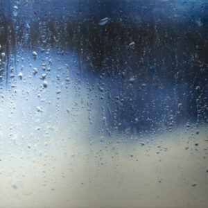 絵画 のおすすめ作品・人気作家 雨 あめ 雨 風景 The Rain インテリア絵画 アート