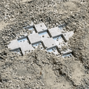 アーティスト the especials 2005年　神戸芸術工科大学　芸術工学部　環境デザイン学科　卒業