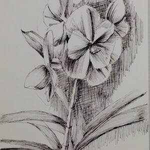 ペン画 ドローイングのおすすめ作品・人気作家 植物 花 ドローイング ペン画 花（ヒスイラン） インテリア絵画 アート