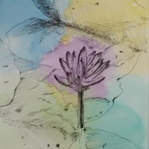 ペン画 ドローイングのおすすめ作品・人気作家 花 スイレン ドローイング ペン画 水彩 スイレン インテリア絵画 アート