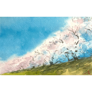 水彩画 のおすすめ作品・人気作家 水彩画 桜 水彩 空 風景 桜 インテリア絵画 アート