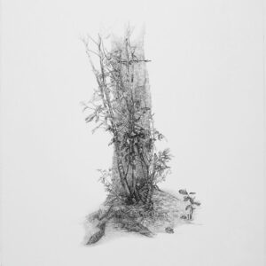 版画 のおすすめ作品・人気作家 樹 「And I Love Her」 インテリア絵画 アート