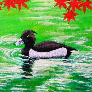 イラスト のおすすめ作品・人気作家 鳥 怒ってる?キンクロハジロ インテリア絵画 アート