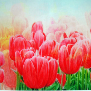 版画 のおすすめ作品・人気作家 花 チューリップ 赤いチューリップ1/5(植265) インテリア絵画 アート