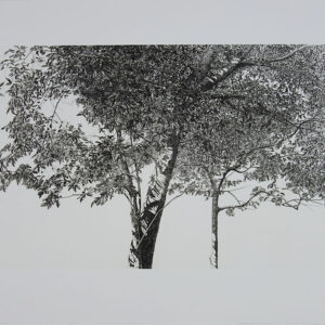 版画 のおすすめ作品・人気作家 エッチング 初夏（銅版画） インテリア絵画 アート