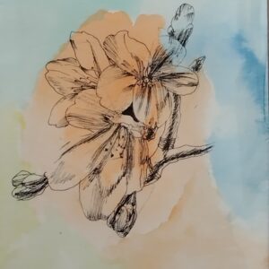 ペン画 ドローイングのおすすめ作品・人気作家 花 ドローイング ペン画 春 桜 水彩 桜 インテリア絵画 アート