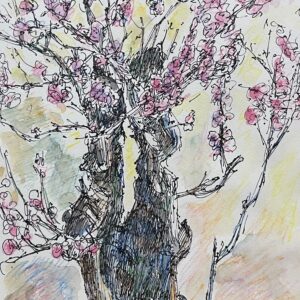 水彩画 のおすすめ作品・人気作家  盆梅 インテリア絵画 アート