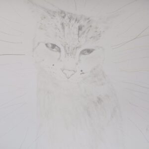 デッサン 素描 のおすすめ作品・人気作家 猫 猫 インテリア絵画 アート