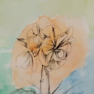 ペン画 ドローイングのおすすめ作品・人気作家 植物 花 ドローイング ペン画 水彩 花 インテリア絵画 アート