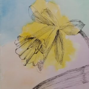 ペン画 ドローイングのおすすめ作品・人気作家 植物 花 ペン画 水彩 花 インテリア絵画 アート