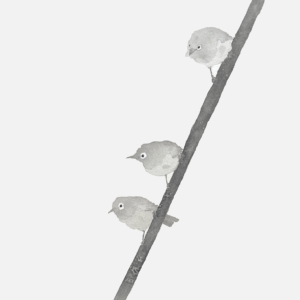 絵画 のおすすめ作品・人気作家 モノクロ 動物 自然 27wtc インテリア シンプル メジロ 余白 小鳥 水墨画 メジロ インテリア絵画 アート