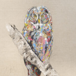 アクリル画 のおすすめ作品・人気作家 動物 鳥 アニマル フクロウ梟 正方形 owl / フクロウ インテリア絵画 アート