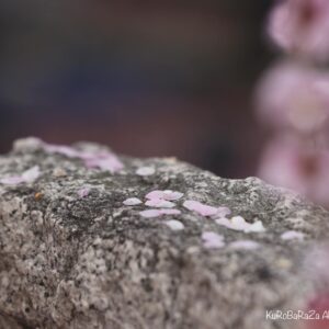 その他 残り香 インテリア絵画 アート