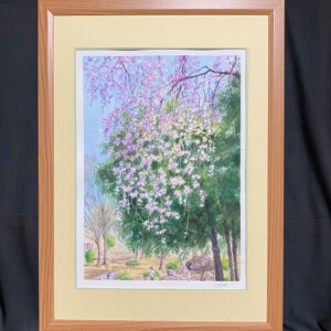 水彩画 のおすすめ作品・人気作家 ピンク 水彩画 グリーン 春 桜 風景画 しだれ桜の木の下で インテリア絵画 アート