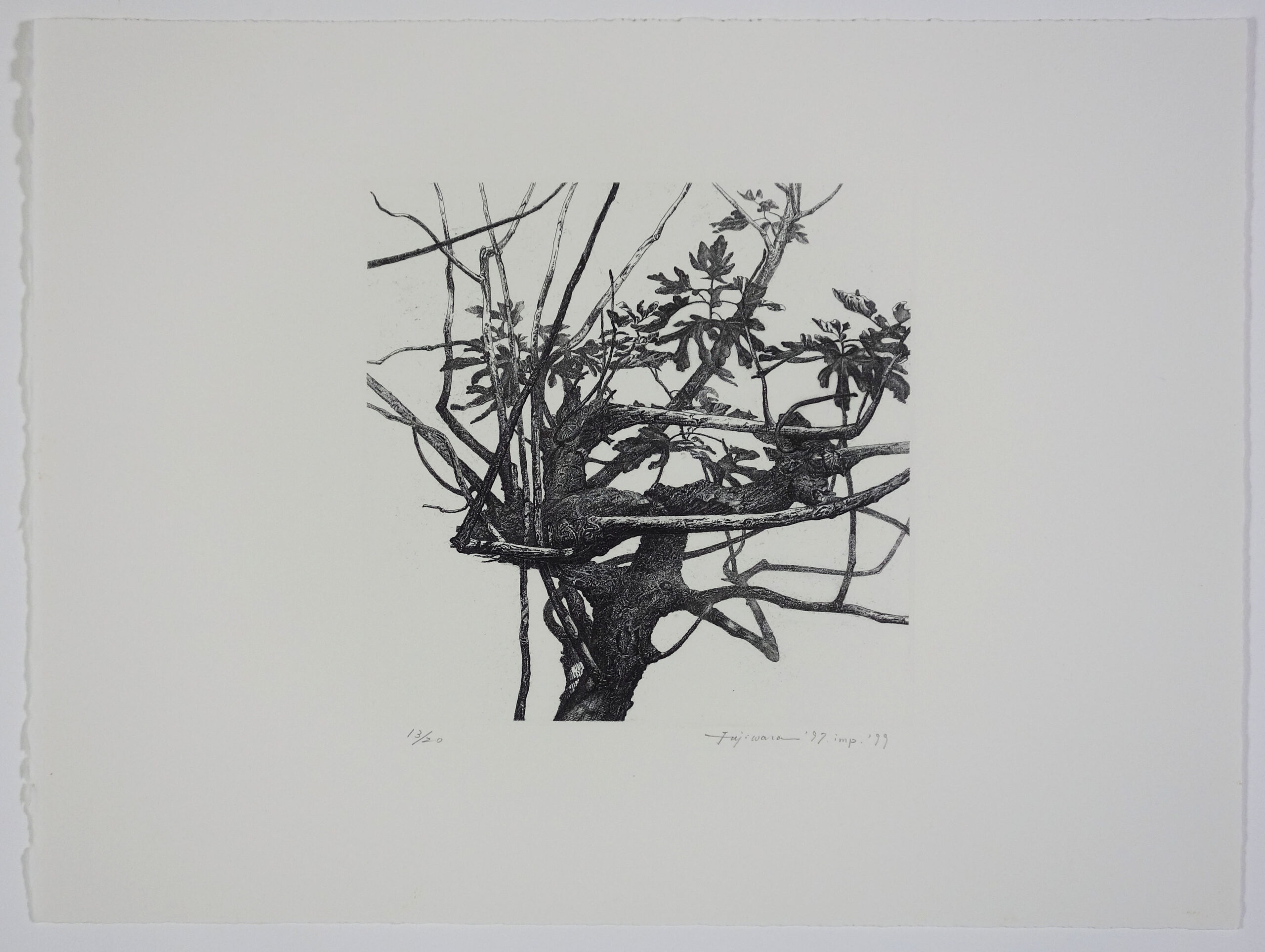 版画 のおすすめ作品・人気作家 無花果， 無花果（銅版画） インテリア絵画 アート