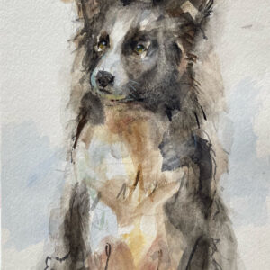 水彩画 のおすすめ作品・人気作家 犬水彩画動物 ボーダーコリー インテリア絵画 アート