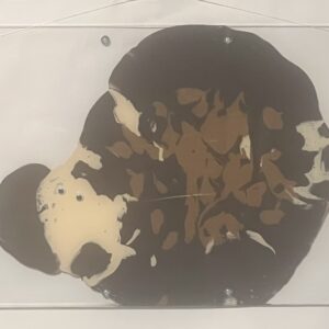 絵画 のおすすめ作品・人気作家 アクリル 動物 かわいい けったい デカルコマニー ハリネズミ ムニュティング画 現代アート ハリネズミ インテリア絵画 アート