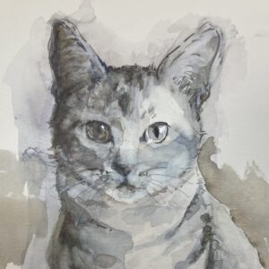 水彩画 のおすすめ作品・人気作家 ＃猫＃動物＃水彩画＃サムホール 見つめる インテリア絵画 アート